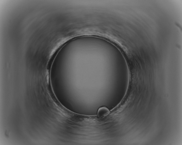 X0000091591509200708271231