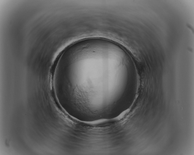 X0000091591510200708271231