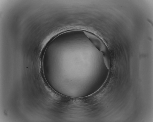 X0000091591511200708271231