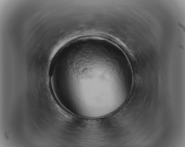 X0000091591512200708271231