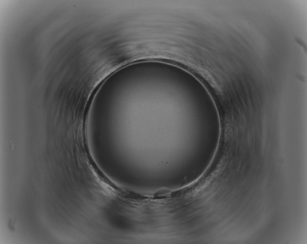 X0000091591513200708271231