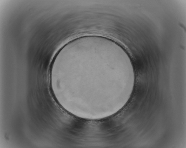 X0000091591514200708271231