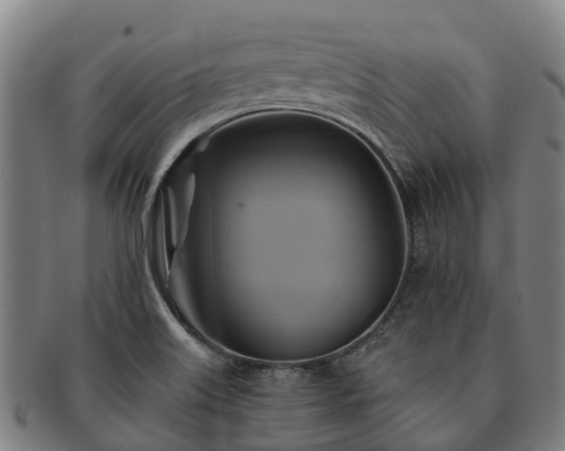 X0000091591515200708271231