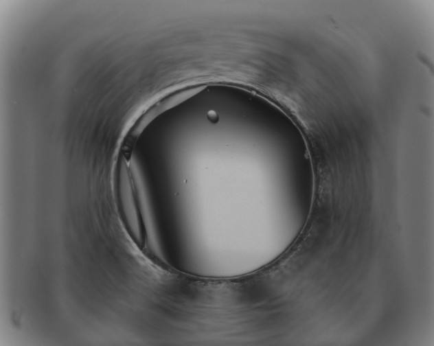 X0000091591516200708271231