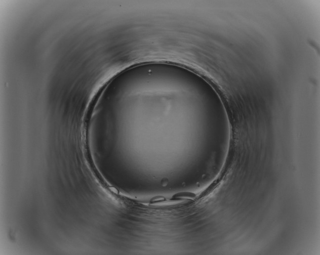 X0000091591517200708271231