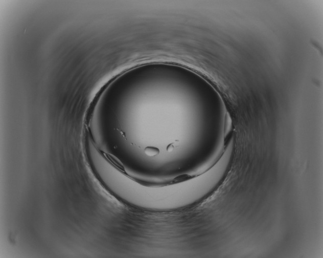 X0000091591518200708271231