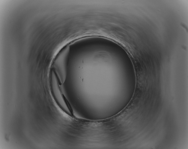 X0000091591519200708271231