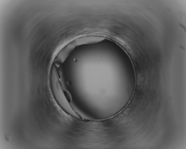 X0000091591520200708271231