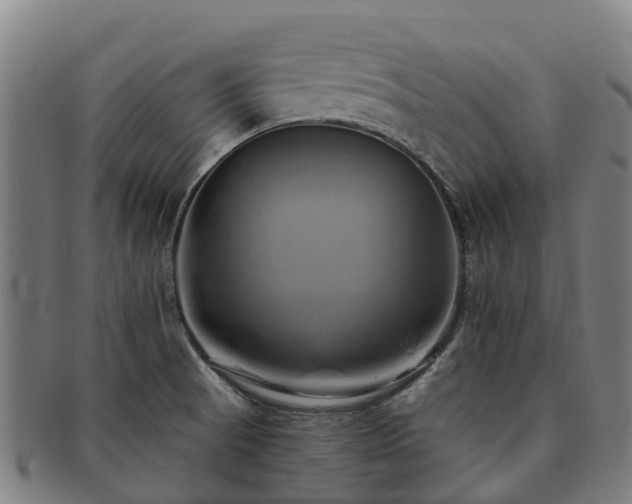 X0000091591521200708271231