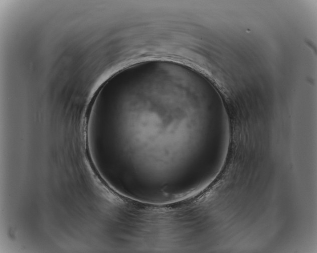 X0000091591522200708271231