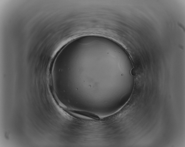 X0000091591523200708271231