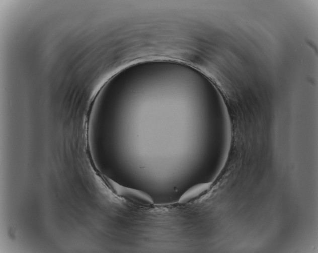 X0000091591524200708271231