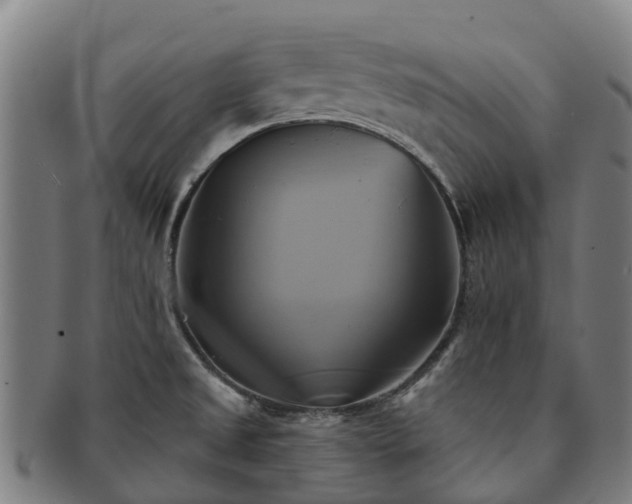 X0000091591525200708271231