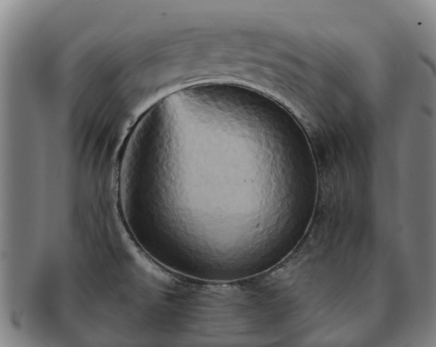 X0000091591526200708271231