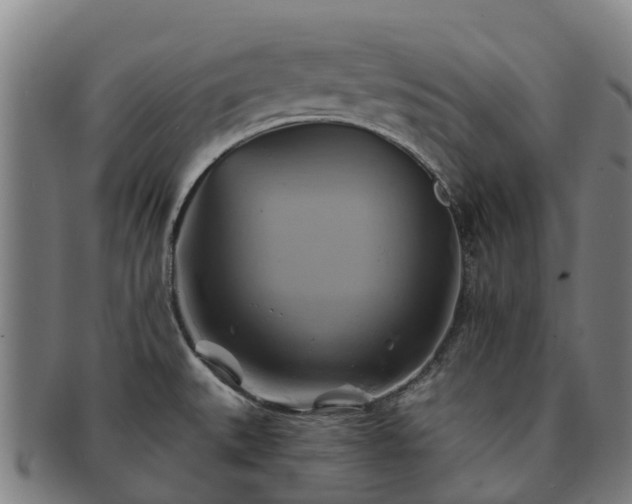 X0000091591527200708271231