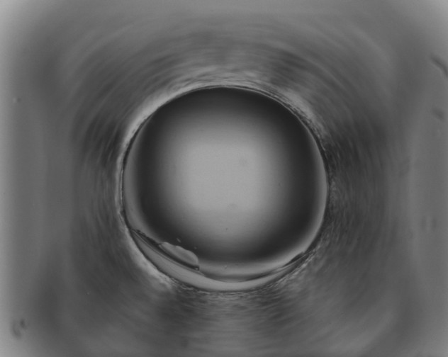 X0000091591528200708271231