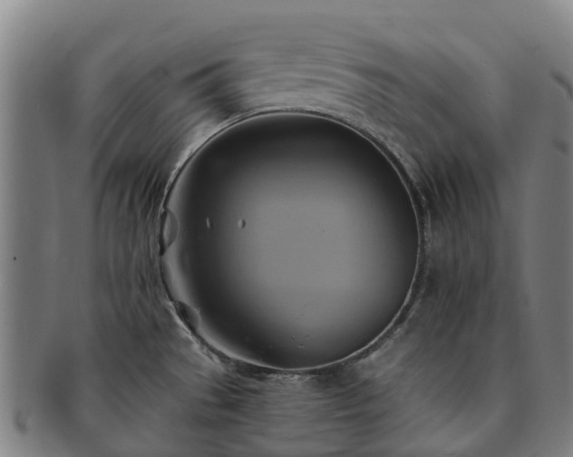 X0000091591529200708271231