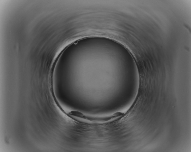 X0000091591531200708271231