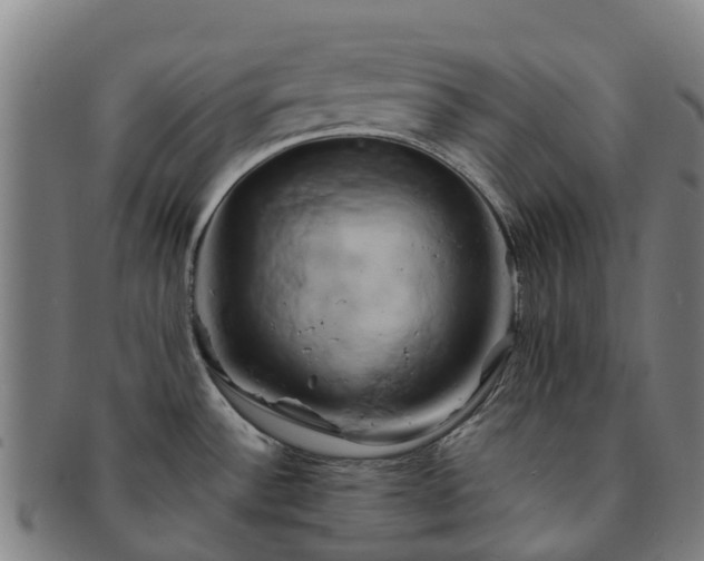 X0000091591532200708271231