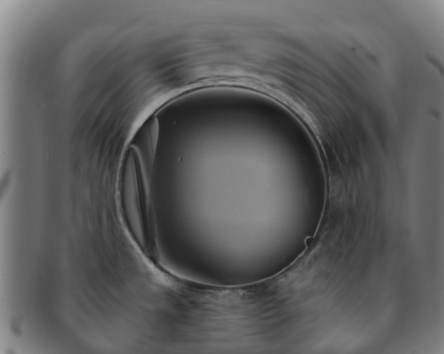 X0000091591533200708271231