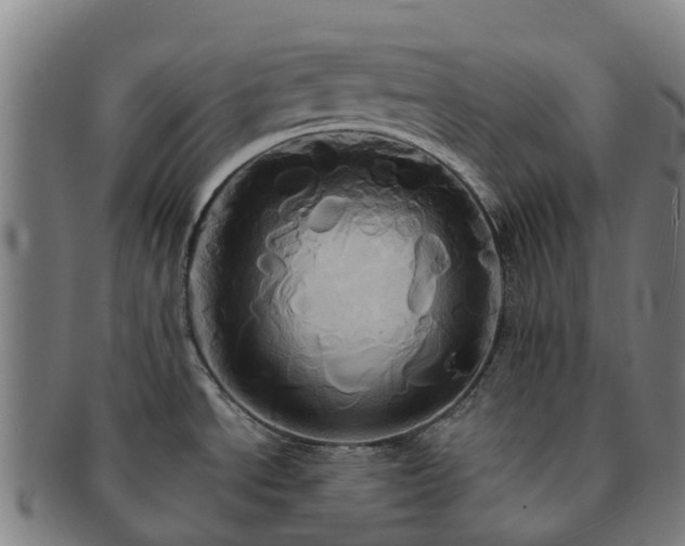 X0000091591534200708271231