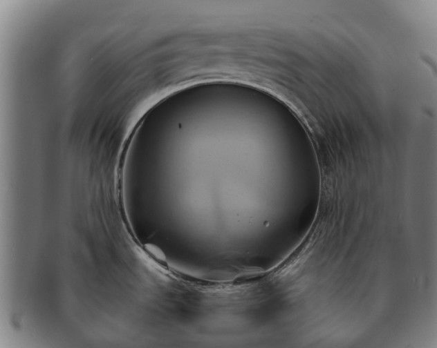 X0000091591535200708271231