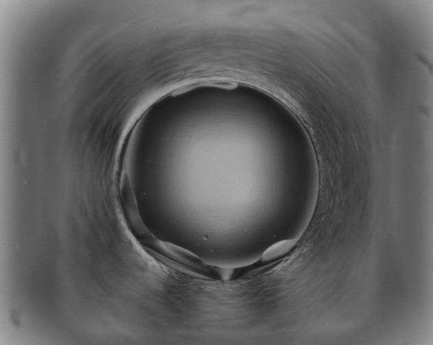 X0000091591536200708271231