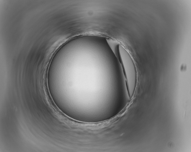 X0000091590001200709051131