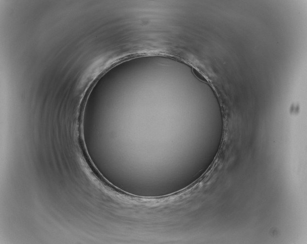 X0000091590002200709051131