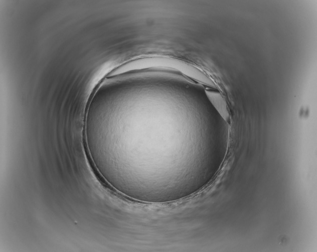 X0000091590003200709051131