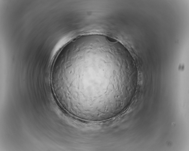 X0000091590004200709051131