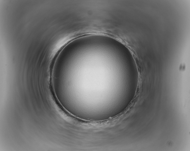 X0000091590005200709051131