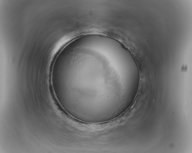 X0000091590006200709051131