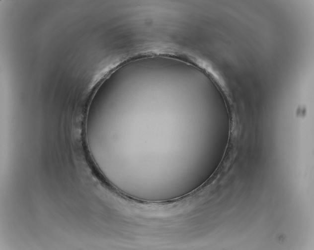 X0000091590010200709051131