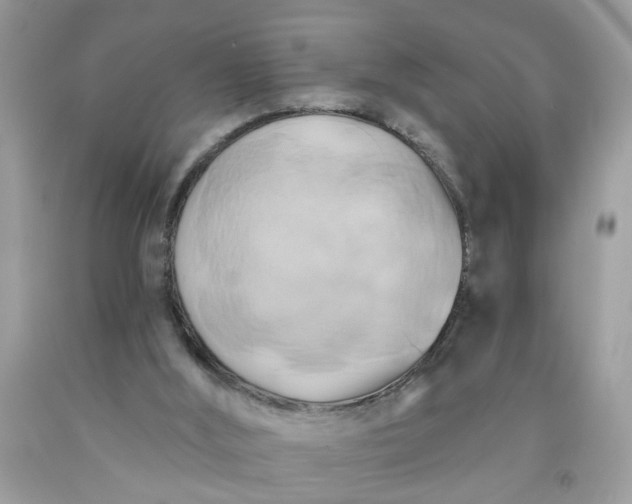 X0000091590012200709051131