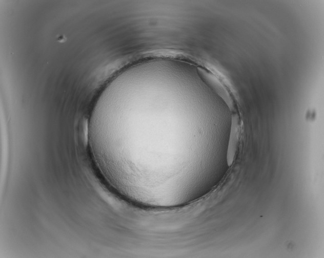 X0000091590013200709051131