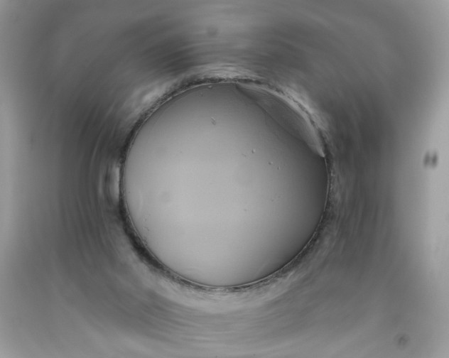 X0000091590014200709051131