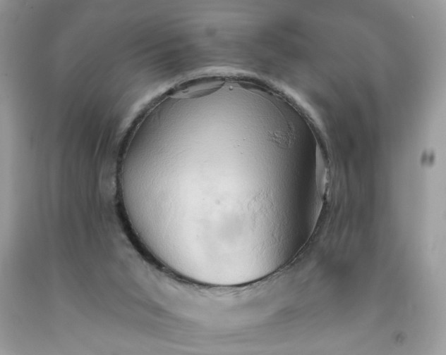 X0000091590015200709051131