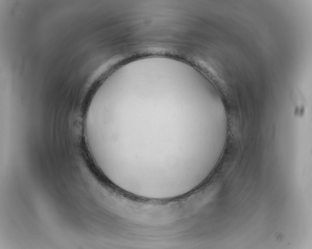 X0000091590016200709051131