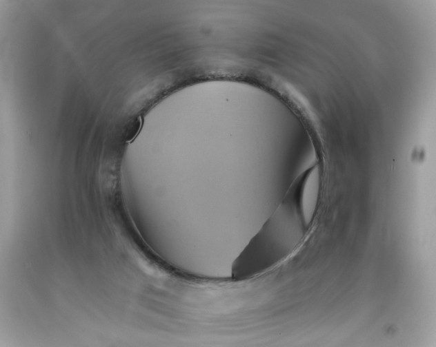 X0000091590017200709051131