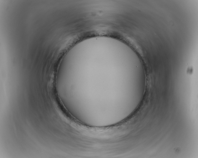 X0000091590018200709051131