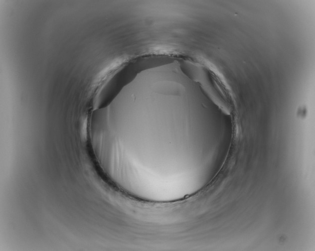 X0000091590019200709051131