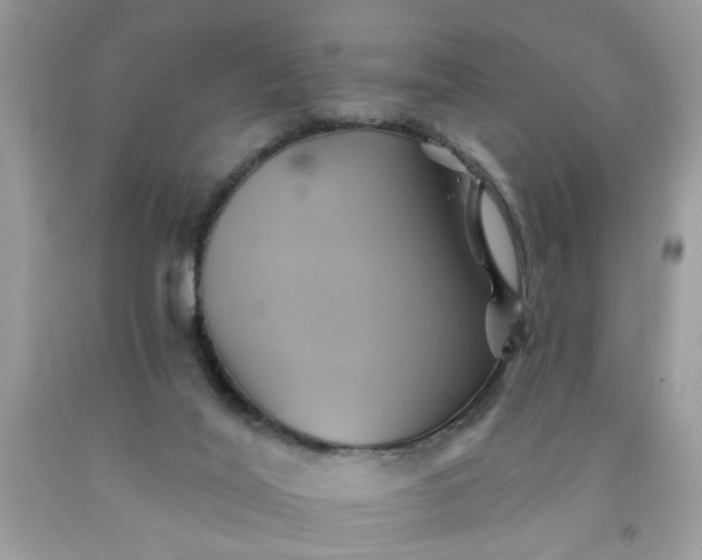 X0000091590020200709051131