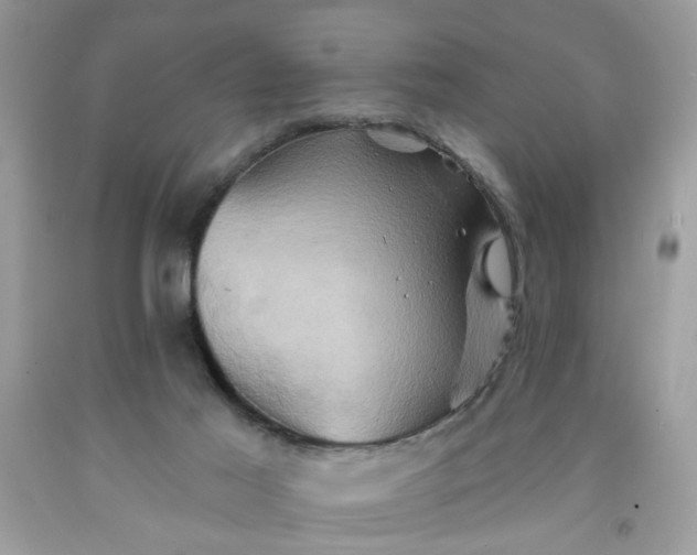 X0000091590021200709051131