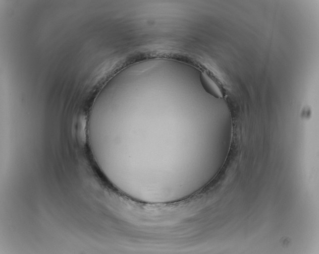 X0000091590022200709051131