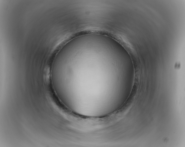 X0000091590024200709051131