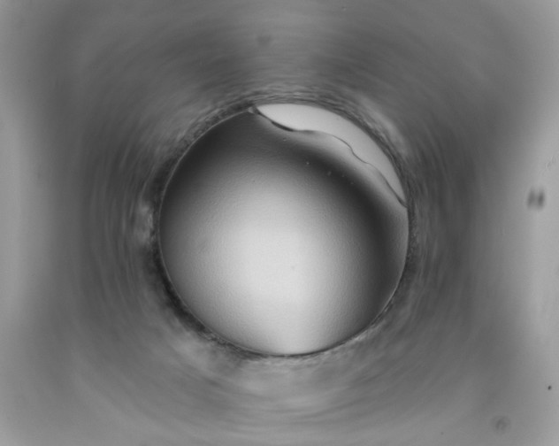 X0000091590025200709051131