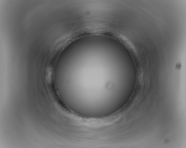 X0000091590026200709051131