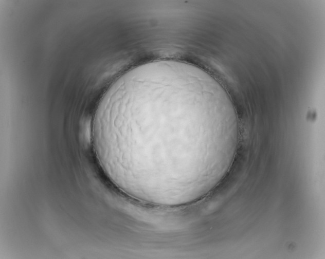 X0000091590028200709051131