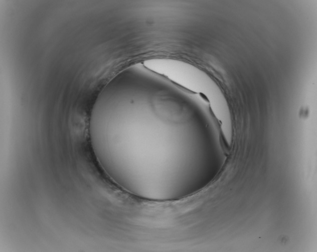 X0000091590029200709051131